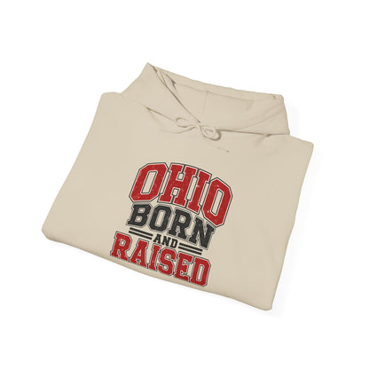 Ohio Born And Raised Unisex Hoodie State Name Graphic
