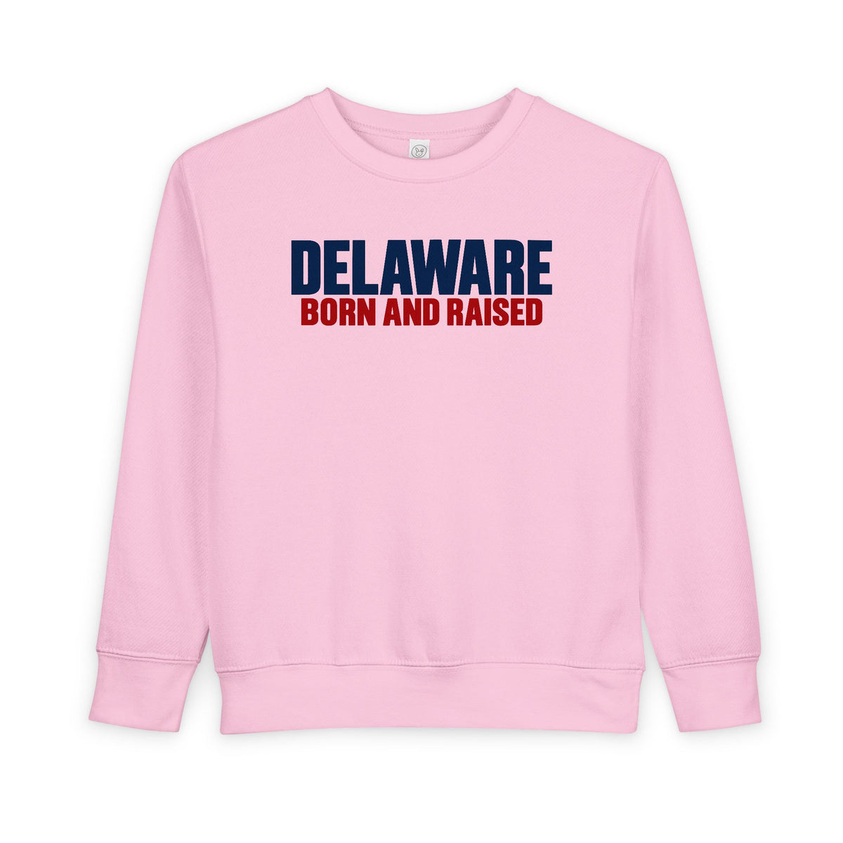 Delaware Born and Raised Minimal Modern Unisex Toddler Sweatshirt