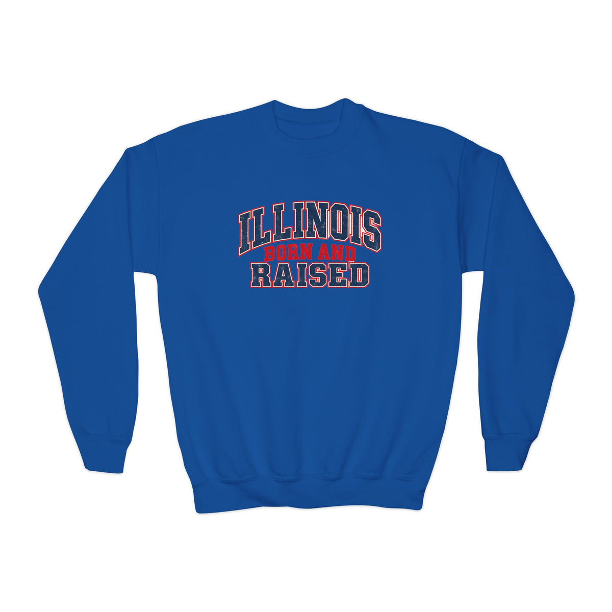 Illinois Born and Raised Vintage Collegiate Unisex Youth Crewneck Sweatshirt Graphic