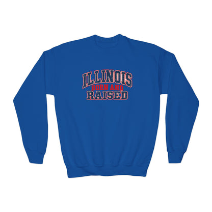 Illinois Born and Raised Vintage Collegiate Unisex Youth Crewneck Sweatshirt Graphic