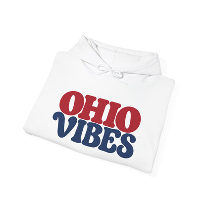 Ohio Vibes Unisex Hoodie State Name Graphic