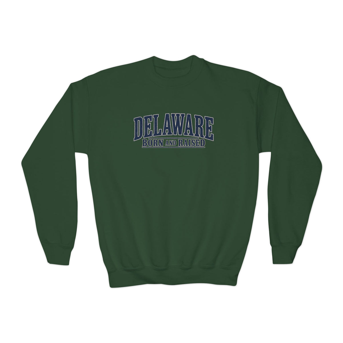 Delaware Born and Raised Luxury Vintage Unisex Youth Crewneck Sweatshirt Graphic
