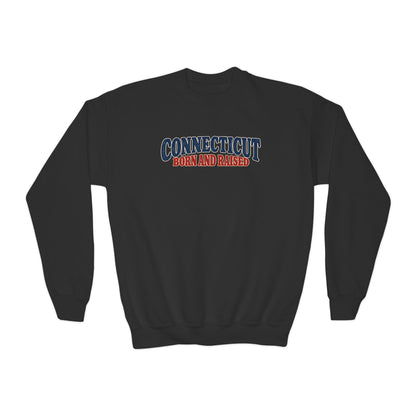 Connecticut Born and Raised 1970s Americana Unisex Youth Crewneck Sweatshirt