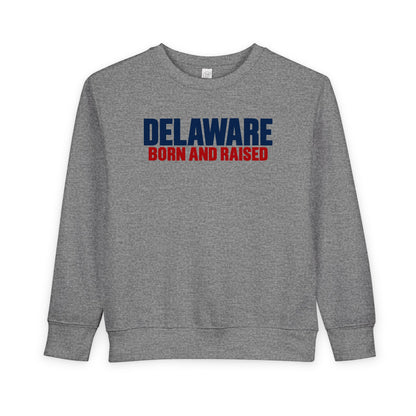 Delaware Born and Raised Minimal Modern Unisex Toddler Sweatshirt