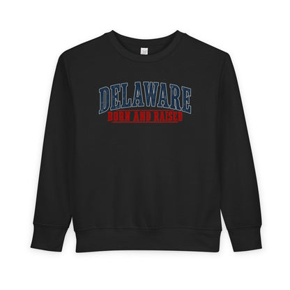 Delaware Born and Raised Classic Americana Unisex Toddler Sweatshirt