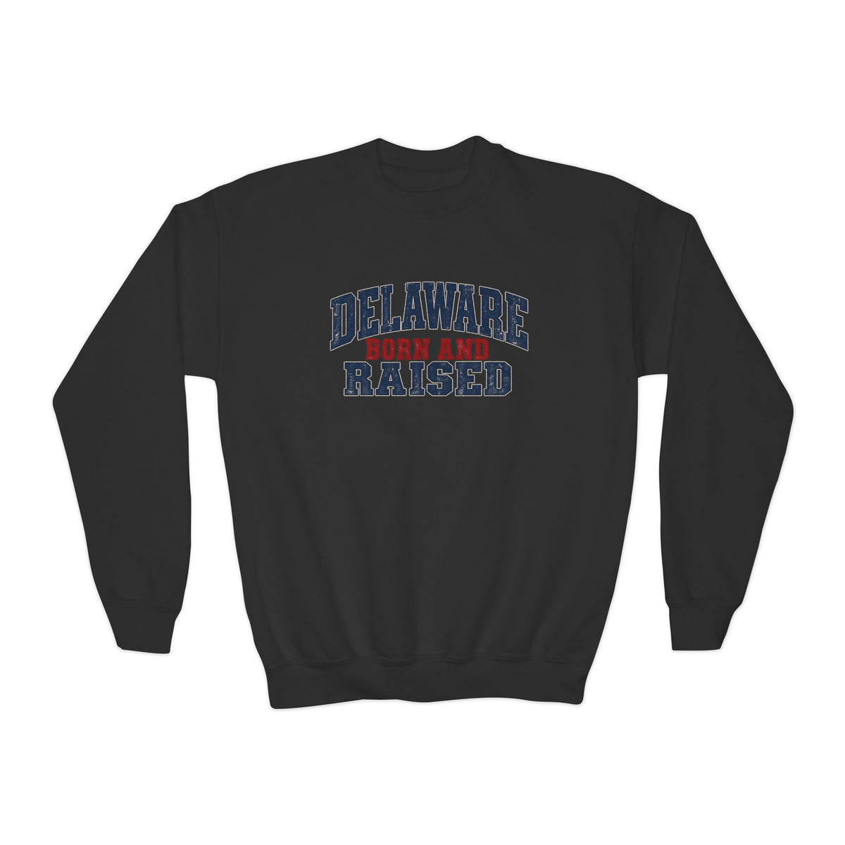 Delaware Born and Raised Rustic Heritage Unisex Youth Crewneck Sweatshirt Graphic