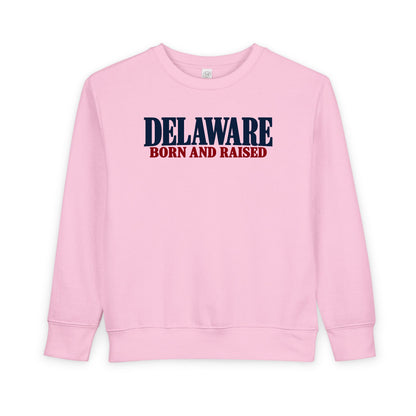 Delaware Born and Raised Premium Heritage Unisex Toddler Sweatshirt