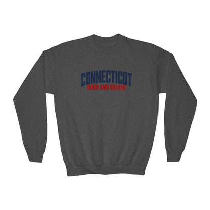 Connecticut Born and Raised Modern Northeast Streetwear Unisex Youth Crewneck Sweatshirt