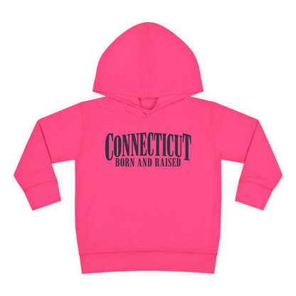 Connecticut Born and Raised Luxury Heritage Unisex Toddler Pullover Fleece Hoodie