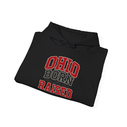 Ohio Born And Raised Unisex Hoodie State Name Graphic