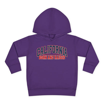 California Born and Raised Vintage Collegiate Unisex Toddler Pullover Fleece Hoodie