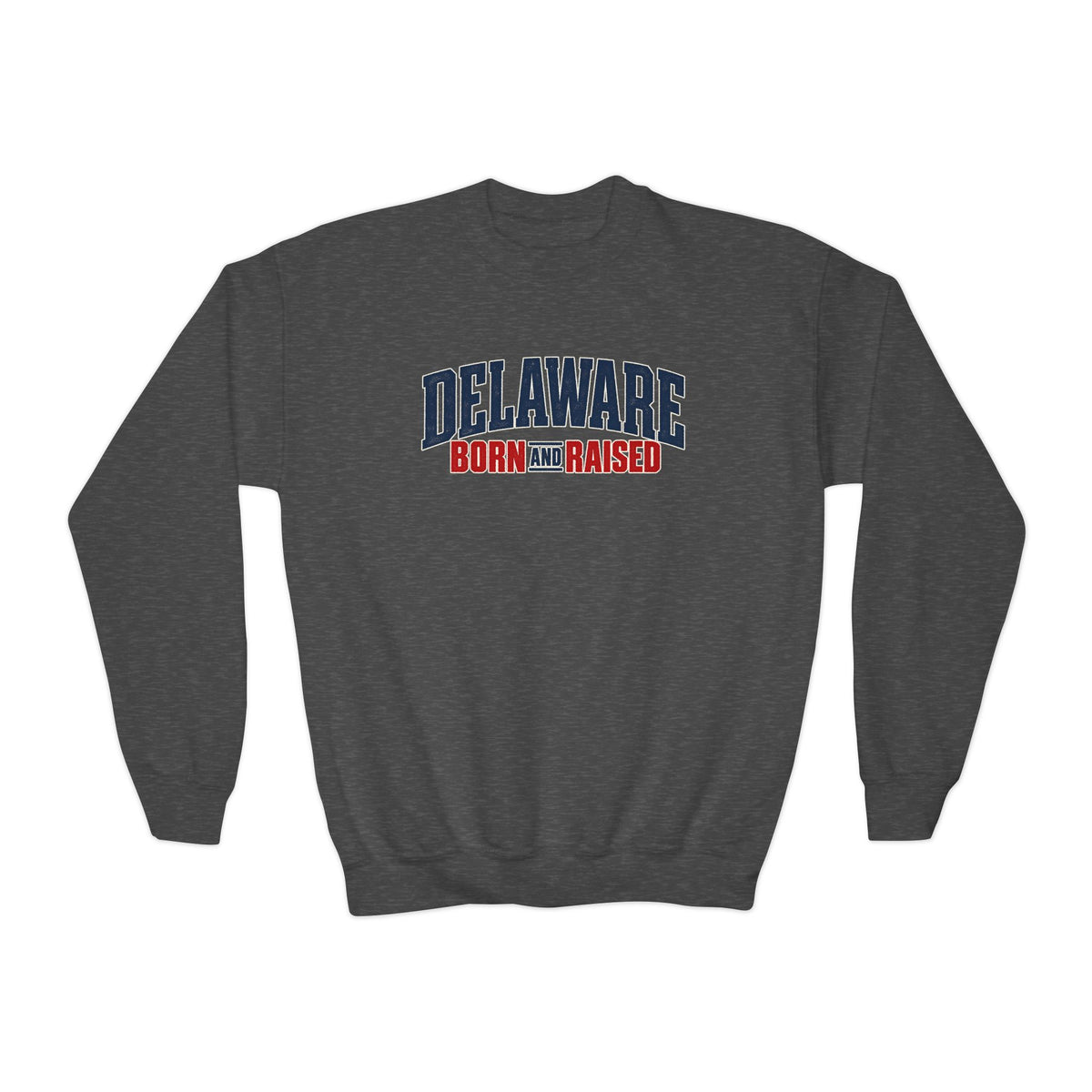 Delaware Born and Raised East Coast Streetwear Unisex Youth Crewneck Sweatshirt Graphic