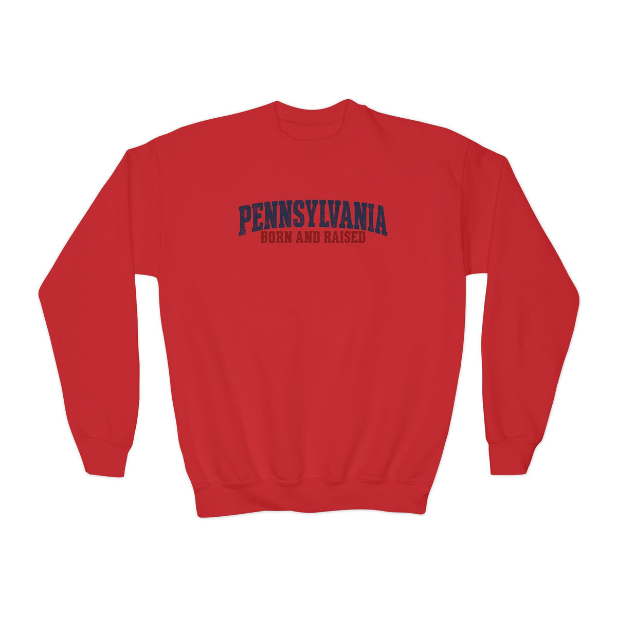 Pennsylvania Born and Raised Minimal Heritage Unisex Youth Crewneck Sweatshirt Graphic