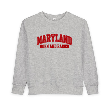 Maryland Born and Raised Classic Collegiate Unisex Toddler Sweatshirt