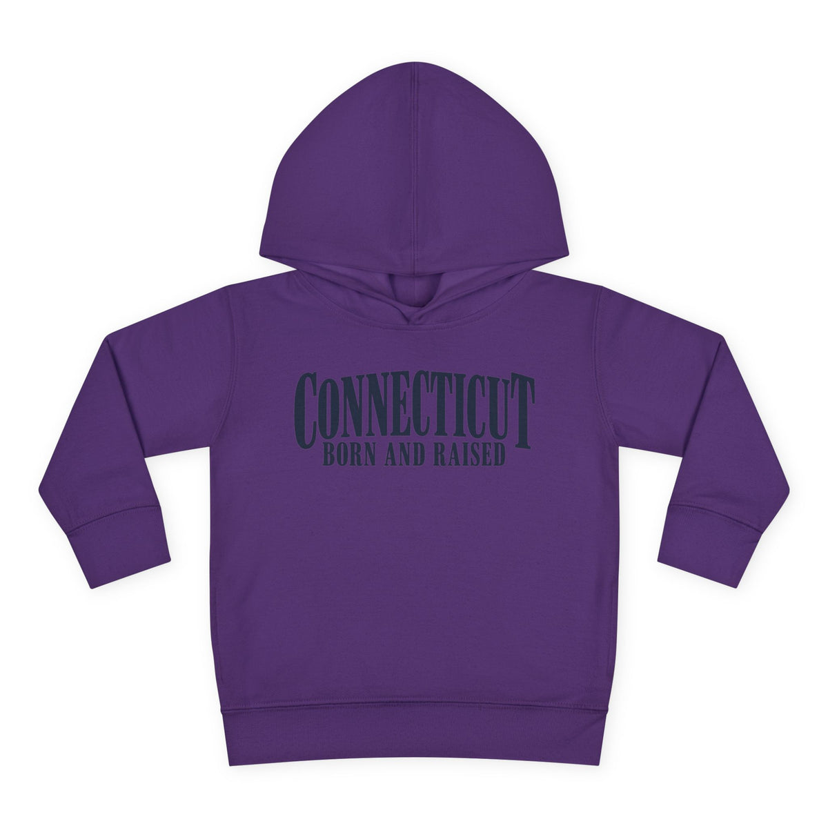 Connecticut Born and Raised Luxury Heritage Unisex Toddler Pullover Fleece Hoodie