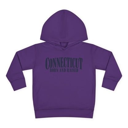 Connecticut Born and Raised Luxury Heritage Unisex Toddler Pullover Fleece Hoodie