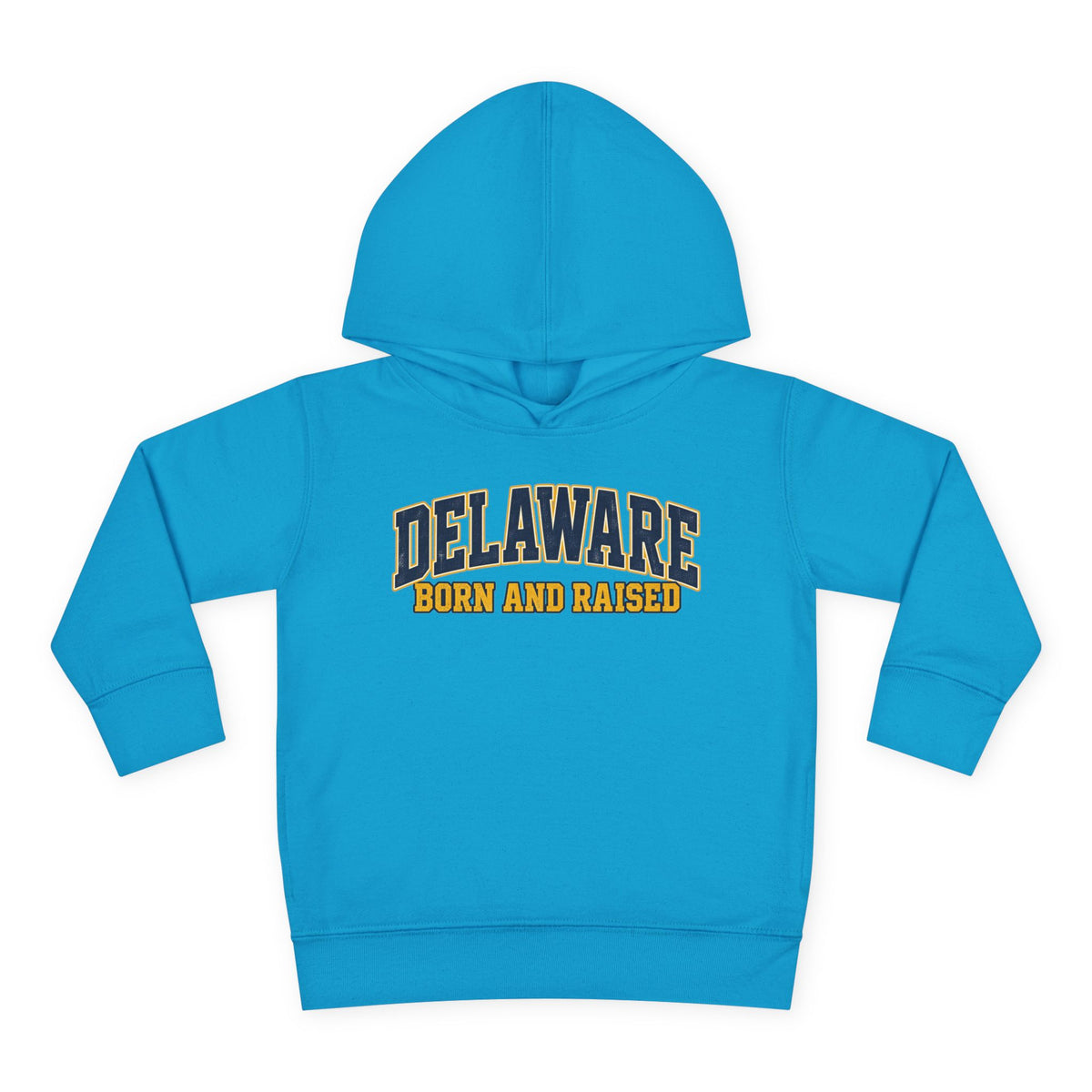 Delaware Born and Raised Old-School Athletic Unisex Toddler Pullover Fleece Hoodie