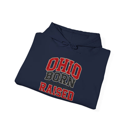 Ohio Born And Raised Unisex Hoodie State Name Graphic