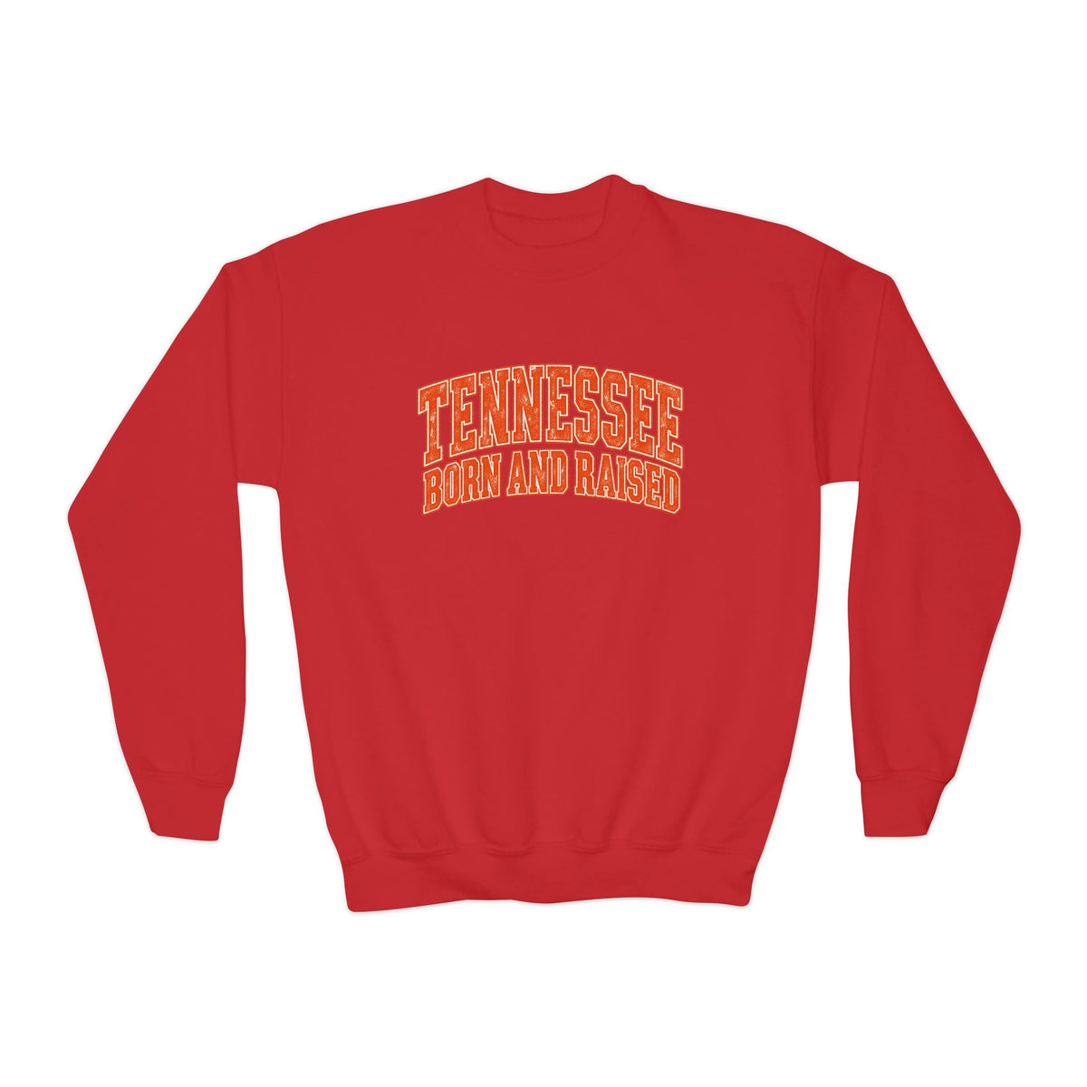 Tennessee Born and Raised Southern Collegiate Unisex Youth Crewneck Sweatshirt Graphic