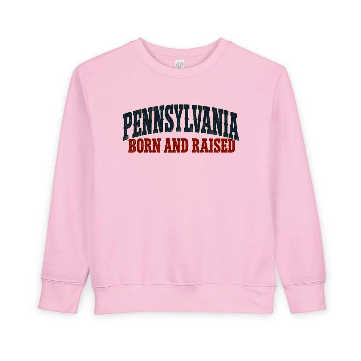 Pennsylvania Born and Raised Rust Belt Americana Unisex Toddler Sweatshirt