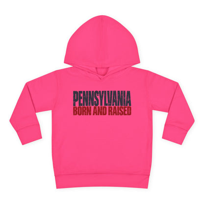 Pennsylvania Born and Raised Northeast Streetwear Unisex Toddler Pullover Fleece Hoodie