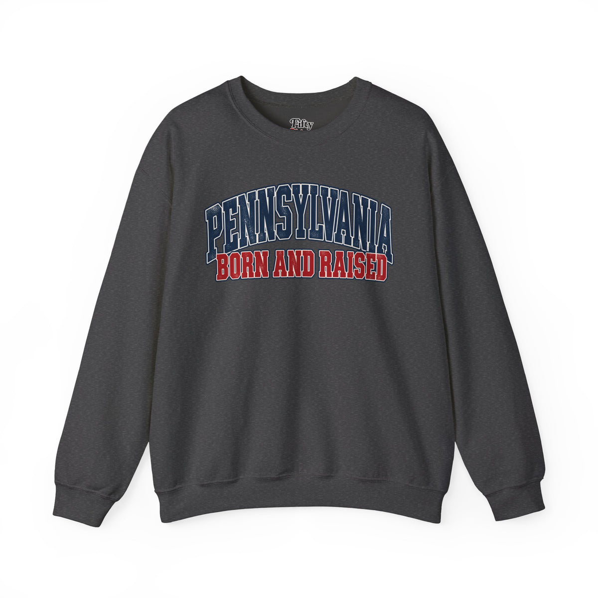 Pennsylvania Born and Raised Vintage Collegiate Unisex Sweatshirt Graphic