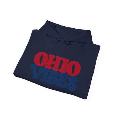 Ohio Vibes Unisex Hoodie State Name Graphic