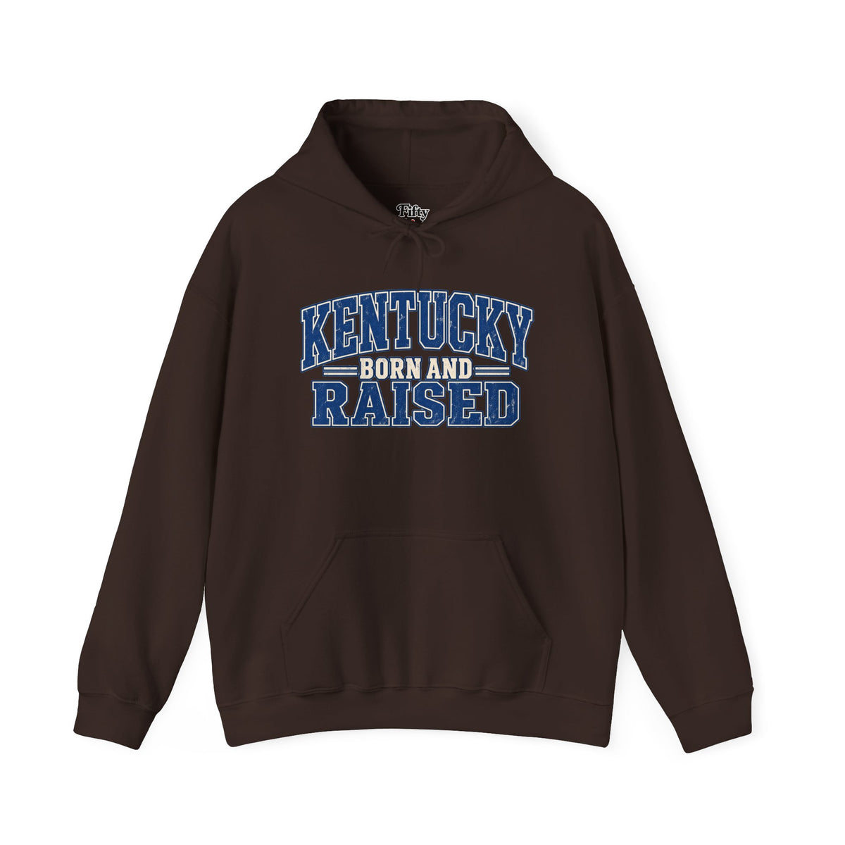 Kentucky Born and Raised Bluegrass Unisex Hoodie Graphic