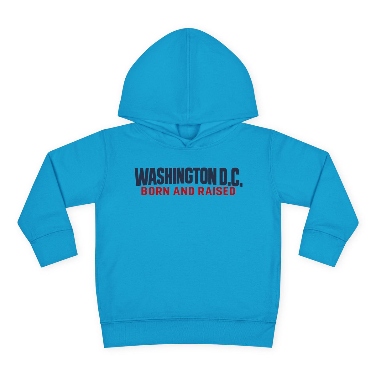 Washington DC Born and Raised Minimal Modern Unisex Toddler Pullover Fleece Hoodie