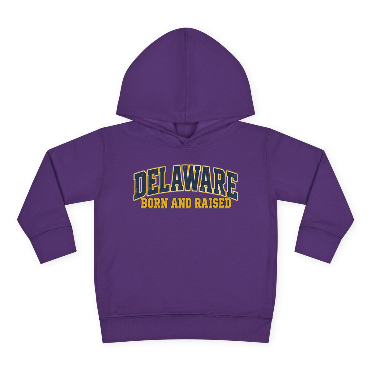 Delaware Born and Raised Old-School Athletic Unisex Toddler Pullover Fleece Hoodie