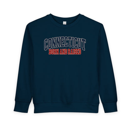 Connecticut Born and Raised Retro Collegiate Unisex Toddler Sweatshirt