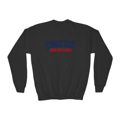 Connecticut Born and Raised Modern Northeast Streetwear Unisex Youth Crewneck Sweatshirt
