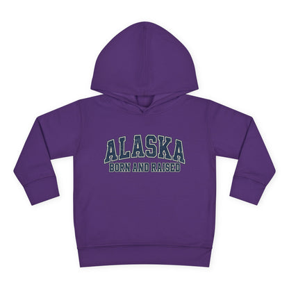 Alaska Born and Raised Classic Collegiate Unisex Toddler Pullover Fleece Hoodie