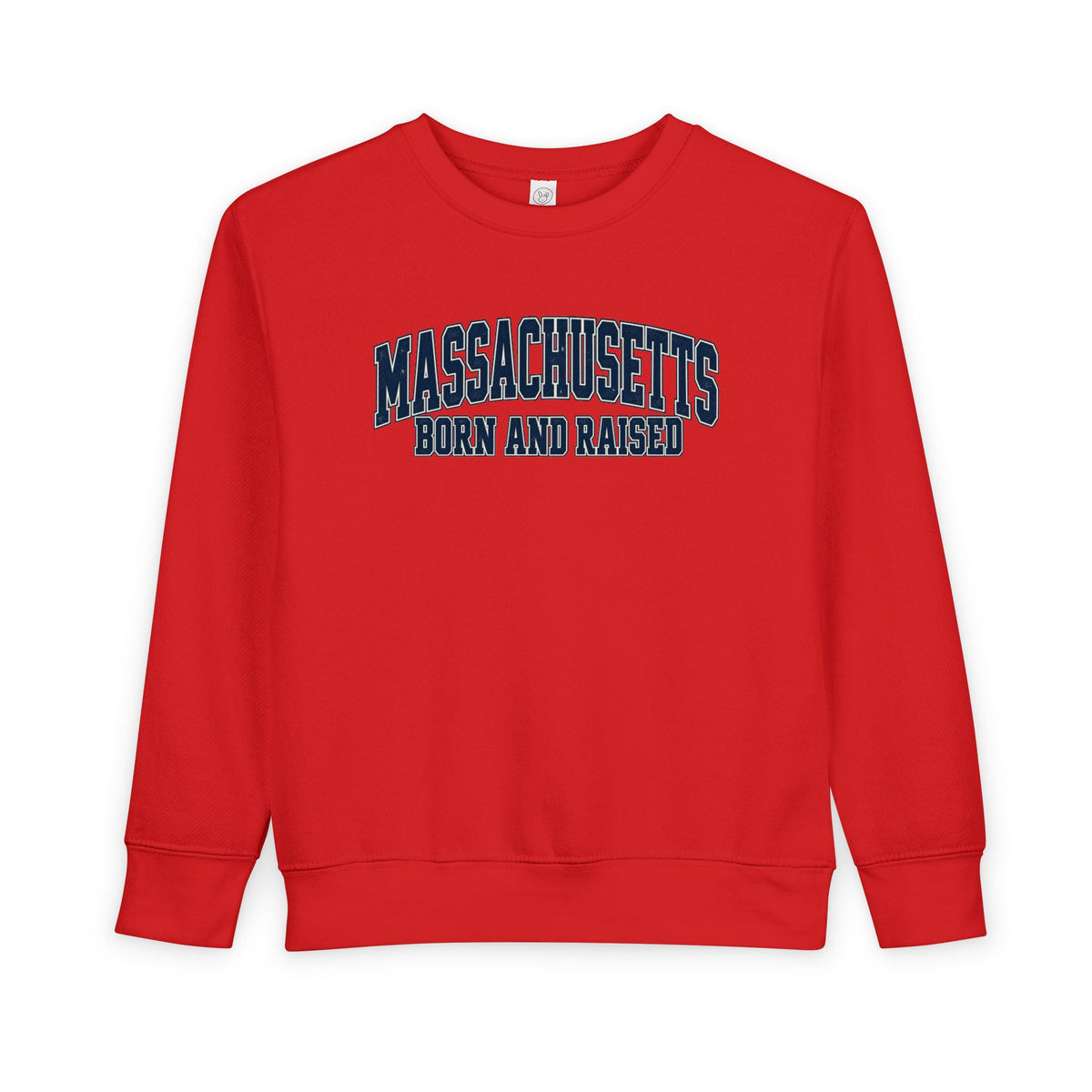 Massachusetts Born and Raised Vintage Collegiate Unisex Toddler Sweatshirt
