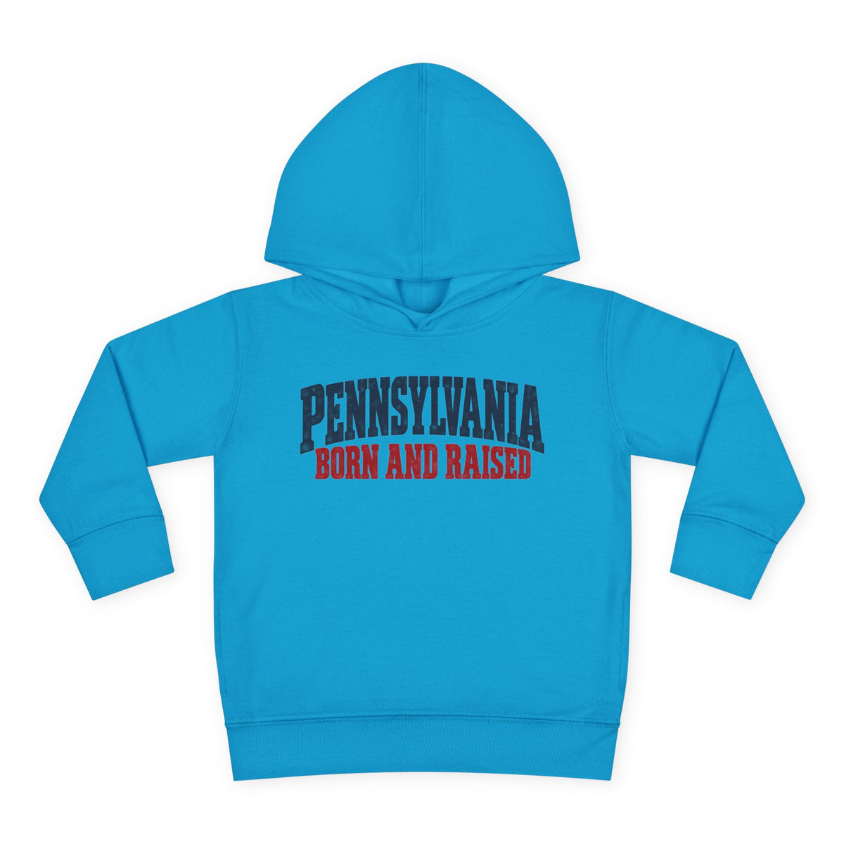 Pennsylvania Born and Raised Vintage Americana Unisex Toddler Pullover Fleece Hoodie