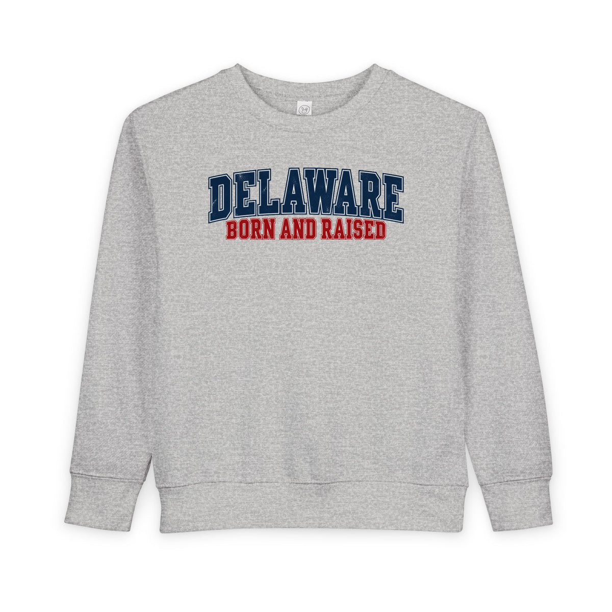 Delaware Born and Raised Vintage Collegiate Unisex Toddler Sweatshirt