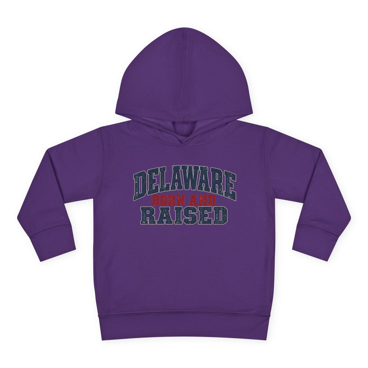 Delaware Born and Raised Rustic Heritage Unisex Toddler Pullover Fleece Hoodie