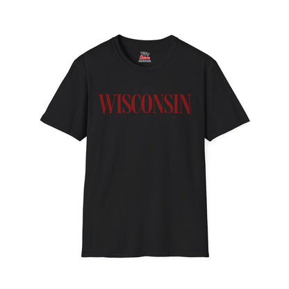 The Wisconsin Collection Unisex Softstyle T Shirt State Name Graphic Tee