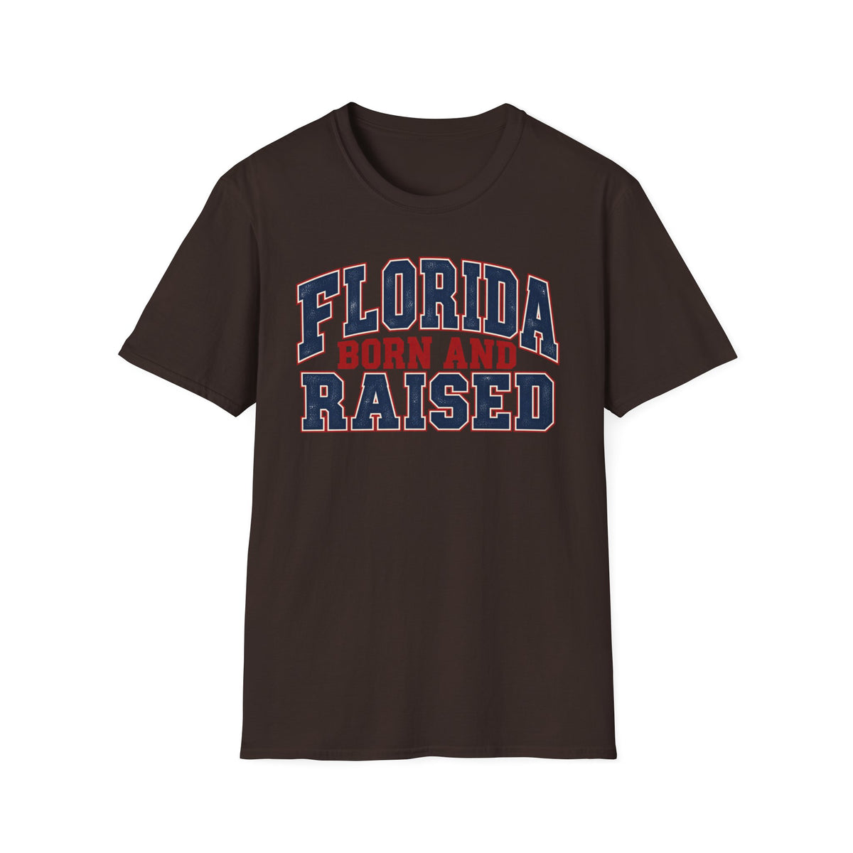 Florida Born and Raised Unisex Softstyle T Shirt State Name Graphic Tee