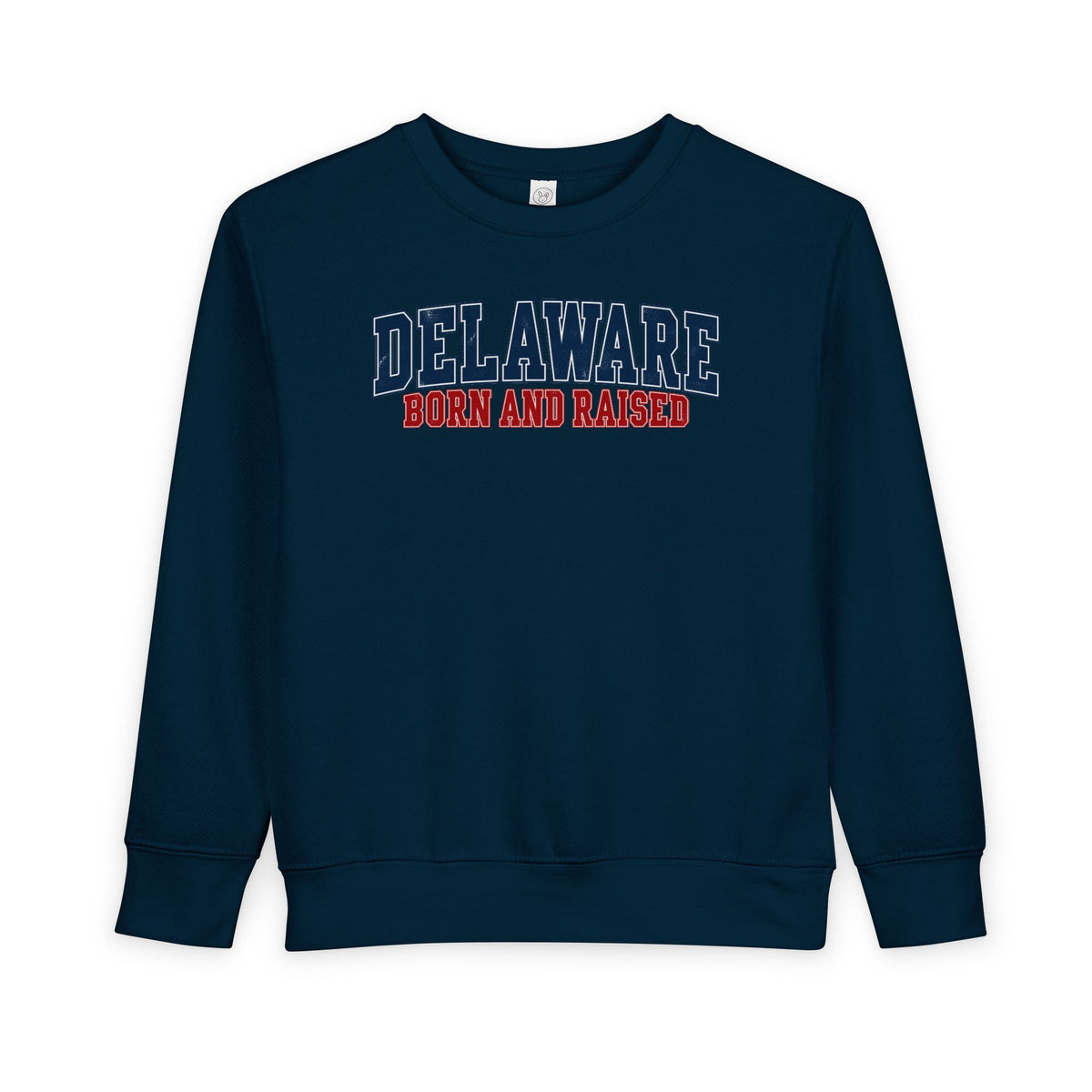 Delaware Born and Raised Vintage Collegiate Unisex Toddler Sweatshirt