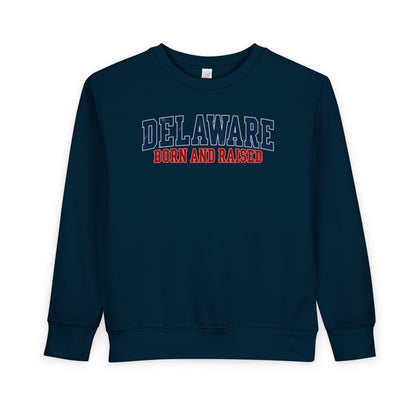 Delaware Born and Raised Vintage Collegiate Unisex Toddler Sweatshirt