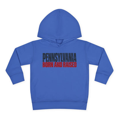 Pennsylvania Born and Raised Northeast Streetwear Unisex Toddler Pullover Fleece Hoodie