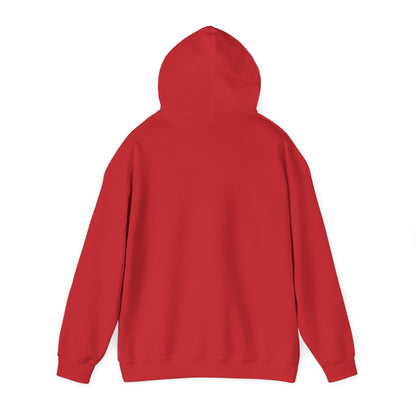 Ohio Vibes Unisex Hoodie State Name Graphic