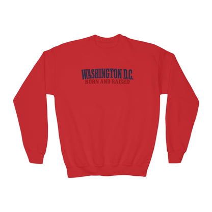 Washington DC Born and Raised Heritage Serif Unisex Youth Crewneck Sweatshirt Graphic