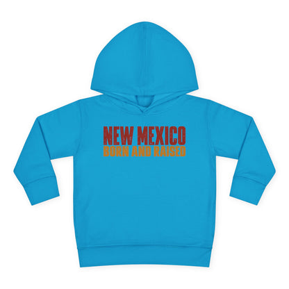 New Mexico Born and Raised Minimal Vintage Unisex Toddler Pullover Fleece Hoodie