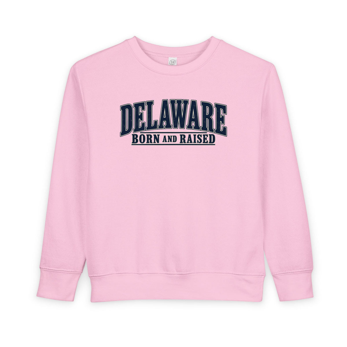 Delaware Born and Raised Luxury Vintage Unisex Toddler Sweatshirt