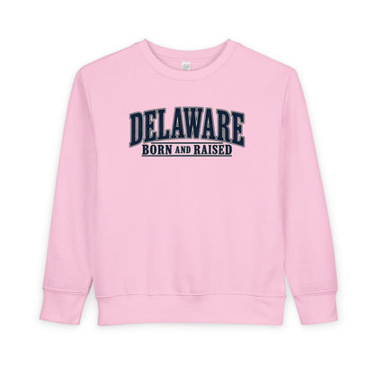 Delaware Born and Raised Luxury Vintage Unisex Toddler Sweatshirt