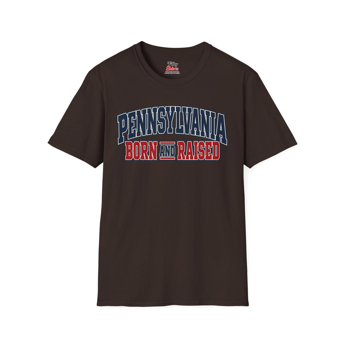 Pennsylvania Born and Raised Unisex Softstyle T Shirt State Name Graphic Tee