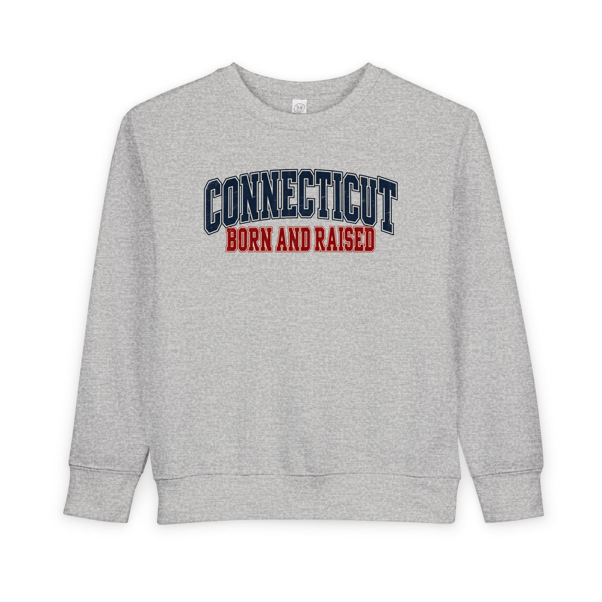 Connecticut Born and Raised Retro Collegiate Unisex Toddler Sweatshirt