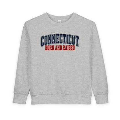 Connecticut Born and Raised Retro Collegiate Unisex Toddler Sweatshirt